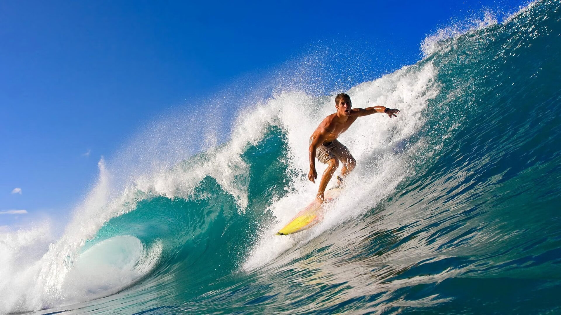 德国女子200米蝶泳选手在预赛中表现出色，晋级半决赛，女子200米蝶泳世界纪录 全运会